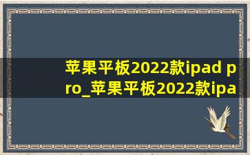 苹果平板2022款ipad pro_苹果平板2022款ipad pro11寸